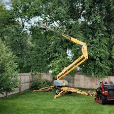 Best Lawn Irrigation Installation and Maintenance  in Debary, FL